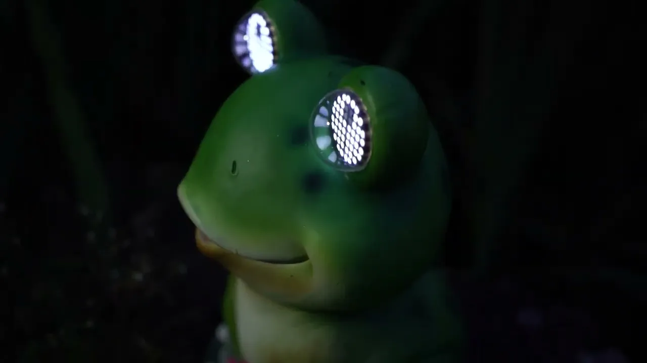Blinkin' Frog