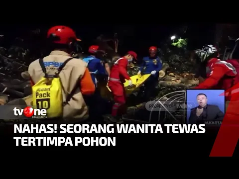 Pengendara Wanita Meregang Nyawa Usai Tertimpa Pohon Tumbang