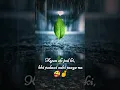 Download Lagu Mohabbat Barsa Dena Tu Sawan Aaya Hai | WhatsApp status video💖 | New Whatsapp Status
