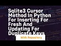 Sqlite3 cursor method in python for inserting for fresh and updating for duplicate keys