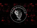 Investigating Mysterious Encounters from Randonautica