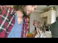 German shortened haired pointer howling