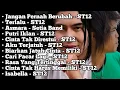 Download Lagu St12 Setia Band Full Album || Full Album Terbaik Terpopuler