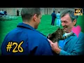 Scofield Finds lost cat and Invites Westmoreland to join him Prison Break s01 pt 26 2160p 4K