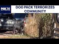 Residents fear aggressive dogs after repeated attacks in Marion County