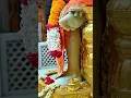 Download Lagu Ek Tera Sahara Tum bin Kaun hamara 🪔🪔🪔🪔🌹🌹🌹🙏🙏🪔🧑‍🍼