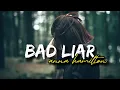 Download Lagu Imagine Dragons - Bad Liar (Acoustic Cover) by Anna Hamilton (Lyrics)