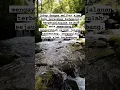 Download Lagu Alam; kedamaian \u0026 petualangan | Music : https://youtube.com/shorts/pfYMq7pxiXo?feature=share #shorts