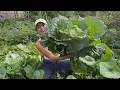 Today we re heading out to sell our farm-fresh produce