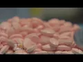Hagerstown Becomes Latest Maryland Community To Sue Pharmaceutical Companies