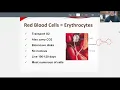 A P for Massage Therapists Cardiovascular System part 1 of 2 2022
