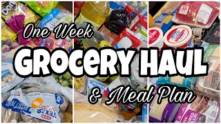 UNDER 200 GROCERY HAUL One Week Meal Plan HEB Grocery Haul Delicious Dinners on a Budget