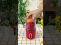 Download Lagu Now it is so easy to squeeze pure juice. You can put the orange in without peeling it.