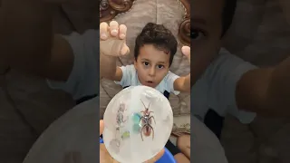                                                                                            دندنها
