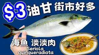 油甘魚🐟現時街市好多😁油脂豐厚👍肉質鮮嫩👍魚味濃郁😋用唔同嘅烹調方法🔥更能突顯佢唔同嘅特點🥳🔴Aji🔴🩷描述及留言 附有🩷中英文翻譯程序 🩷English Recipe🩷