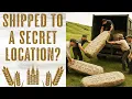 Download Lagu What Happened to Adam's Altars? Altar of Prayer and Altar of Sacrifice at Adam-ondi-Ahman