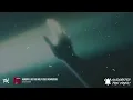 Duran Duran - Hungry Like the Wolf | Lyrics