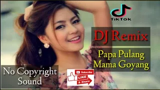 DJ Papa Pulang Mama Di Goyang