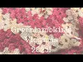 Lagu Greenlambkin’s Vlogmas 2025 - Day 16!