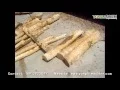 Download Lagu YONGLI wood debarker, log debarking machine