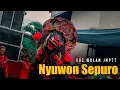 Lagu Jaranan Wajib NYUWON SEPURO Cover Jaranan Mustiko Wijoyo (Voc Wulan JNP77)