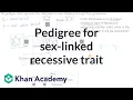 Pedigree for determining probability of exhibiting sex linked recessive trait Khan Academy
