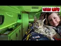 Download Lagu Campervan Camping (with my Cat) - Ramsay's Health Update