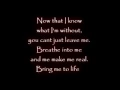 Evanescence Wake me up Inside