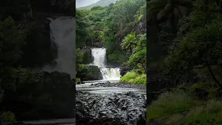 Don’t forget to get a 📸 of the photographer 😚 #shorts