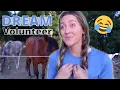 Barn Manager s Dream Volunteer FUNNY horse s