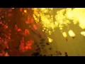 Talwiinder - Khayaal (Slowed & Reverb) Prod by NDS | Pind Nation