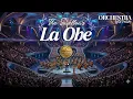 La Obe 🎧 The Swallows (#cover) • Orchestra / Orkestra / Orkester #music