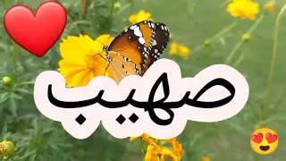 أغنية إسم صهيب صهيب صهيب اغنية اغاني 