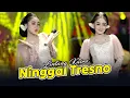 Lintang Kairo - Ninggal Tresno (Official Music Video)
