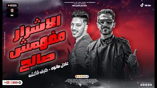 موال الاشرار مفيهمش صالح حتي صالح بنفسو كالح طارق شئلشه عادل صانوه حظ جديد لعشاق الحظ 2023 