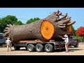 Download Lagu Watch and Be Surprised! You Won’t Believe What He Created From This Ancient Tree Trunk