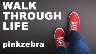 Pinkzebra Walk Through Life Happy Background Music For Videos 