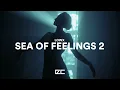 Download Lagu Lowx  -  Sea Of Feelings 2