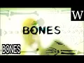 BONES TV series - WikiVidi Documentary
