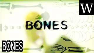 BONES TV series - WikiVidi Documentary