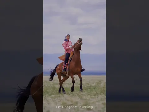 Mongolian horseman, Mongolian side