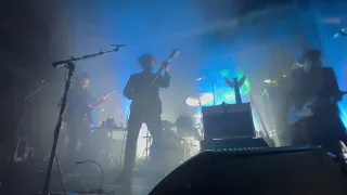 coyote dope lemon live