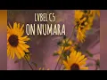 LVBEL C5 _ ON NUMARA (şarkı sözleri)