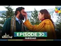 Download Lagu Parizaad Episode 30 - Final