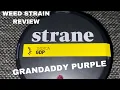 WEED STRAIN REVIEW - STRANE GRANDDADDY PURPLE