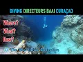Download Lagu Diving Directeurs Baai Curaçao | The Shore Dive Collection | TropicLens - 4K