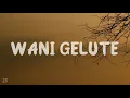 Download Lagu WANI GELUTE DENNY CAKNAN [LYRICS/LIRIK]🎧