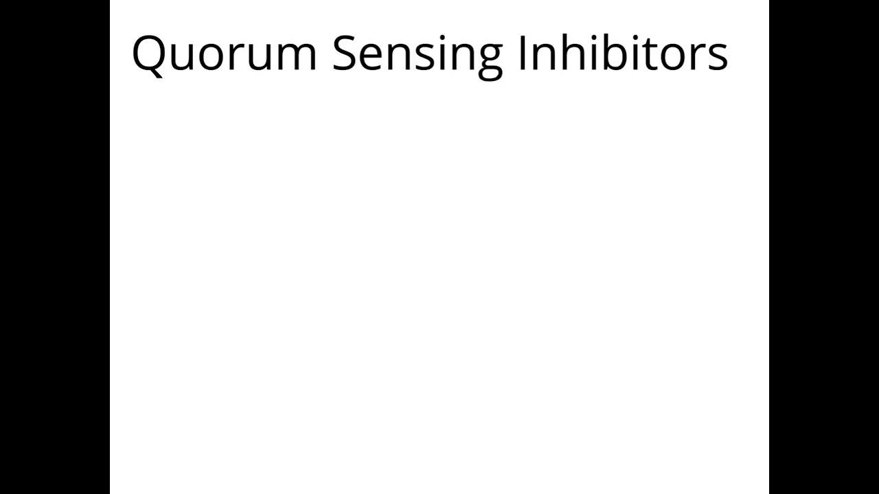 Quorum Sensing Inhibitors: Drug Development & Bacterial Infection Therapies