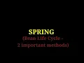 Spring - 3 Bean Life Cycle