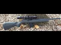 Rossi 22m 22Mag 500rd Update and Customizing